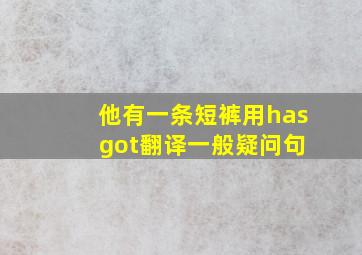 他有一条短裤用has got翻译一般疑问句